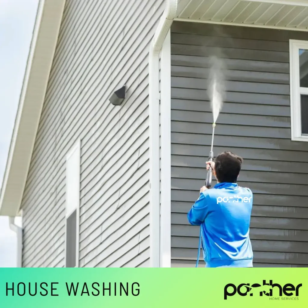 Panther house washing