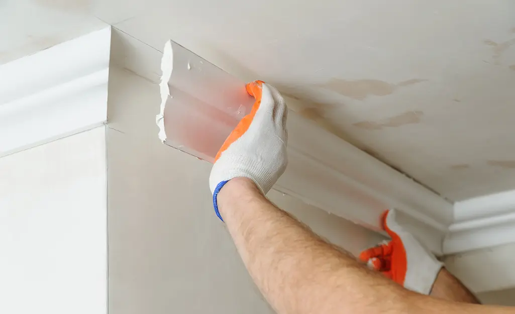 Paint panther how to install crown moulding update step 5